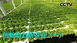 创新助力新农业一蔬菜温室如何变身智能工厂20220701 |《创新进行时》CCTV科教