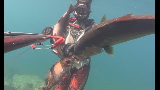 28-02-23 Silifke Zıpkın Avları-Spearfishing Mersin/Silifke - подводная охота в Силифке