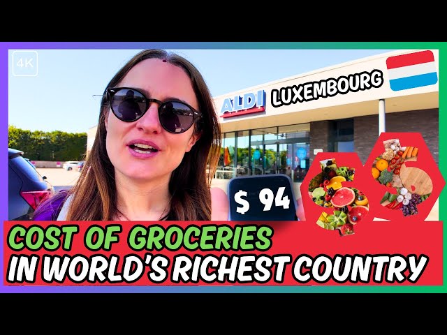 Cost of Living in Luxembourg 🇱🇺 | Grocery Shopping at Aldi Luxembourg [4K] class=