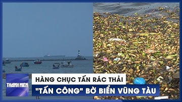 Hàng chục tấn rác thải 