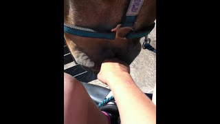 Toffee Licking My Legs...