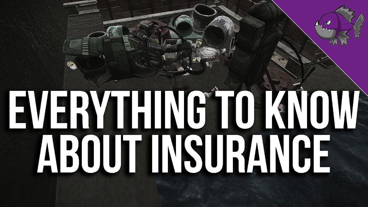 Everything To Know About Insurance Tips Guide Escape Everything To Know About Insurance Tips Guide Escape