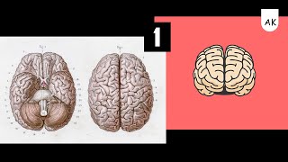 الحلقه(1) (IQ) برنامج لزيادة نسبه الذكاء 7 screenshot 3