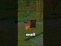 SNAILS in Minecraft!