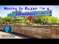 College Move in Vlog *in a pandemic* || GKS Scholar|| Moving to Busan