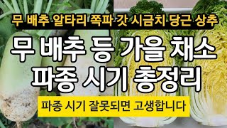 김장 무 배추 등 가을 채소 파종 시기 총정리(무 배추 알타리 쪽파 갓 시금치 당근 상추) 파종시기 잘못되면 고생합니다