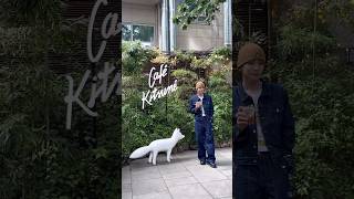 [공지] 🦊KEY X MaisonKitsune🦊 공개