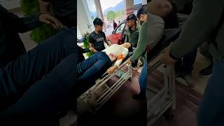 Bungee Jumping Accident What Really Happened