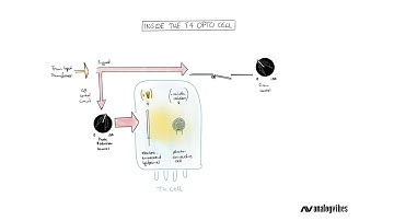 What the heck is a T4 cell? Teletronix LA2A - BYL-Series I, Part III - analogvibes