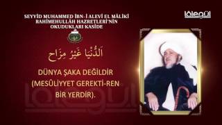 Seyyid Muhammed İbn-i Alevî el-Mâlikî Rahımehullâh'ın Okuduğu Kasîde Resimi