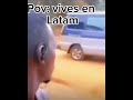 28 de noviembre de 2025