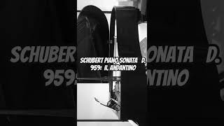 Schubert Piano sonata   D. 959:  II. Andantino