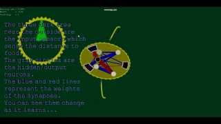 Life.Net - An Artificial Neural Network Simulation