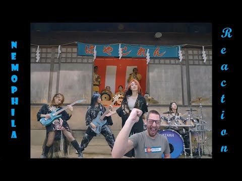 First Time Hearing NEMOPHILA / 開花宣言 [Official Music Video]