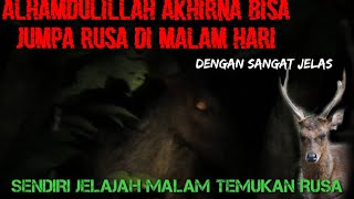 RUSA PENGHUNI HUTAN INI AKHIRNA SAYA TEMUKAN DI MALAM HARI