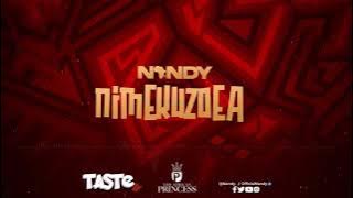 Nandy - Nimekuzoea (Lyrics Video)