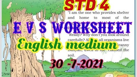 Class 4 EVS Worksheet July 30/4 th std evs worksheet 30/7/21/Std 3 evs worksheet 30/7/21/ Eng medium