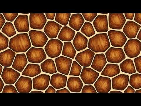 Tortoise Shell Animal Prints, a Pattern Graphic by karenfoleyphoto (Thumbnail 8 of 8)