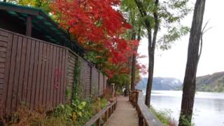 1051025南怡島