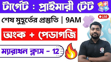 🔴WB Primary TET Math Class -12 | Math Pedagogy | অংক পেডাগজি 🔥 প্রাইমারি টেট অংক ক্লাস | TWS Academy