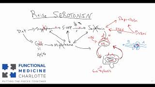 Raising Serotonin - 4 key areas to assess