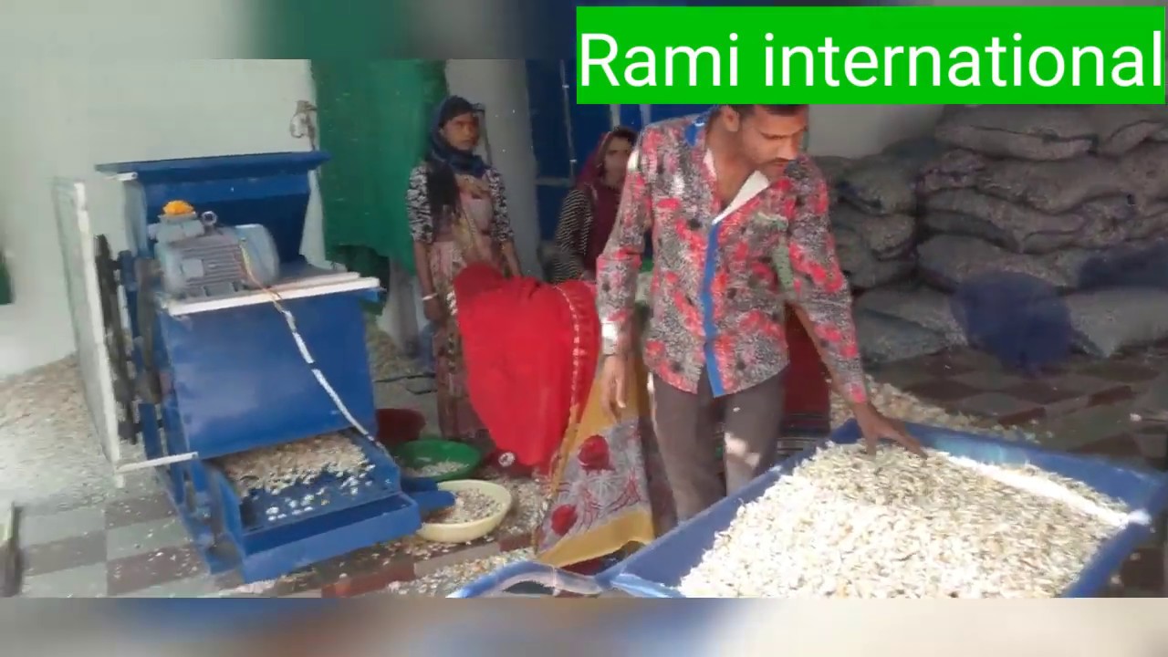 Fully Automatic Garlic Peeling Machine 400KG Capacity Per Hour Set Up