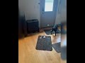 June's Fetch Routine Part 2