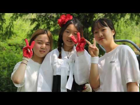 2016년 나무와학교 체육대회