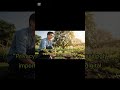 Building An Invisible Brand Using Decentralized Social Media Protocols For Private Wealth Part 2