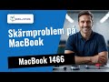 Skärmproblem på MacBook 1466? Så här fixar vi det 🔧