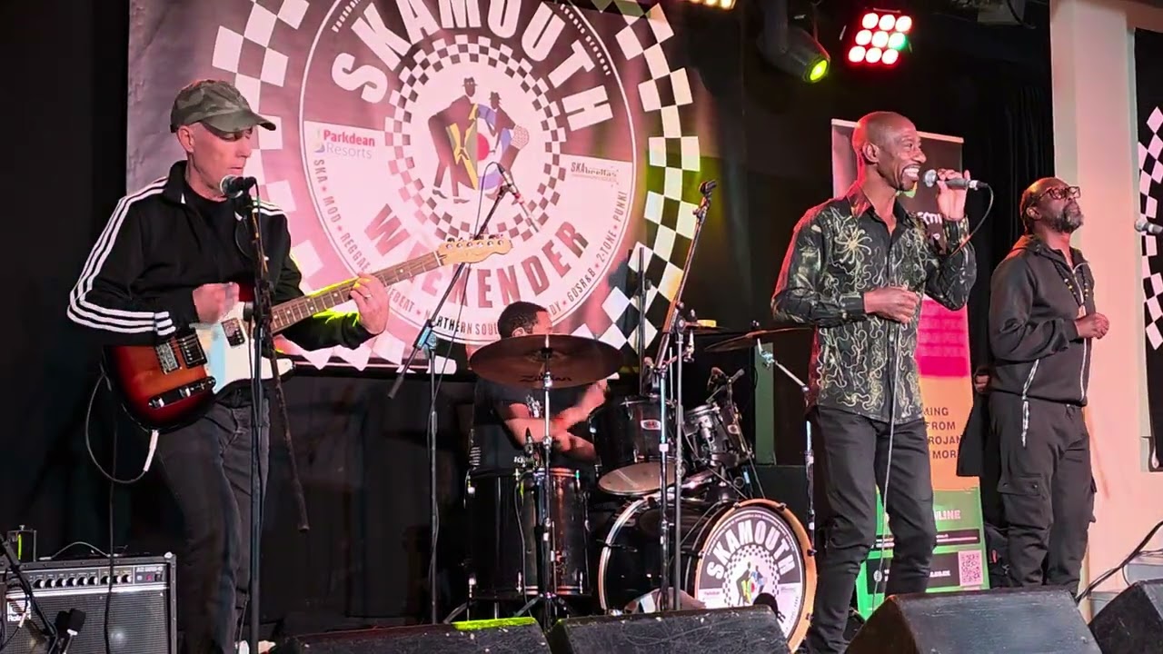 Steer it up - Island Collective  - Skamouth