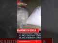SABUNI YA UNGA MALIGHAFI MUHIMU ZA KUTENGENEZA SABUNI YA UNGA Whatsapp 0754745798 SABUNI YA UNGA MALIGHAFI MUHIMU ZA KUTENGENEZA SABUNI YA UNGA Whatsapp 0754745798