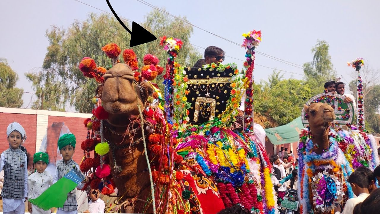 12 Rabi ul Awal Celebration in Multan Pakistan 2022 | Eid Milad un Nabi | Hassan Sargana