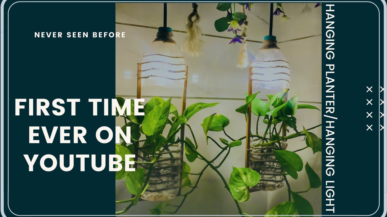 Hanging planter with light II DIY Money plant Idea II Growing plants
