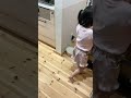 【#shorts 】我が家の台車レディ👧