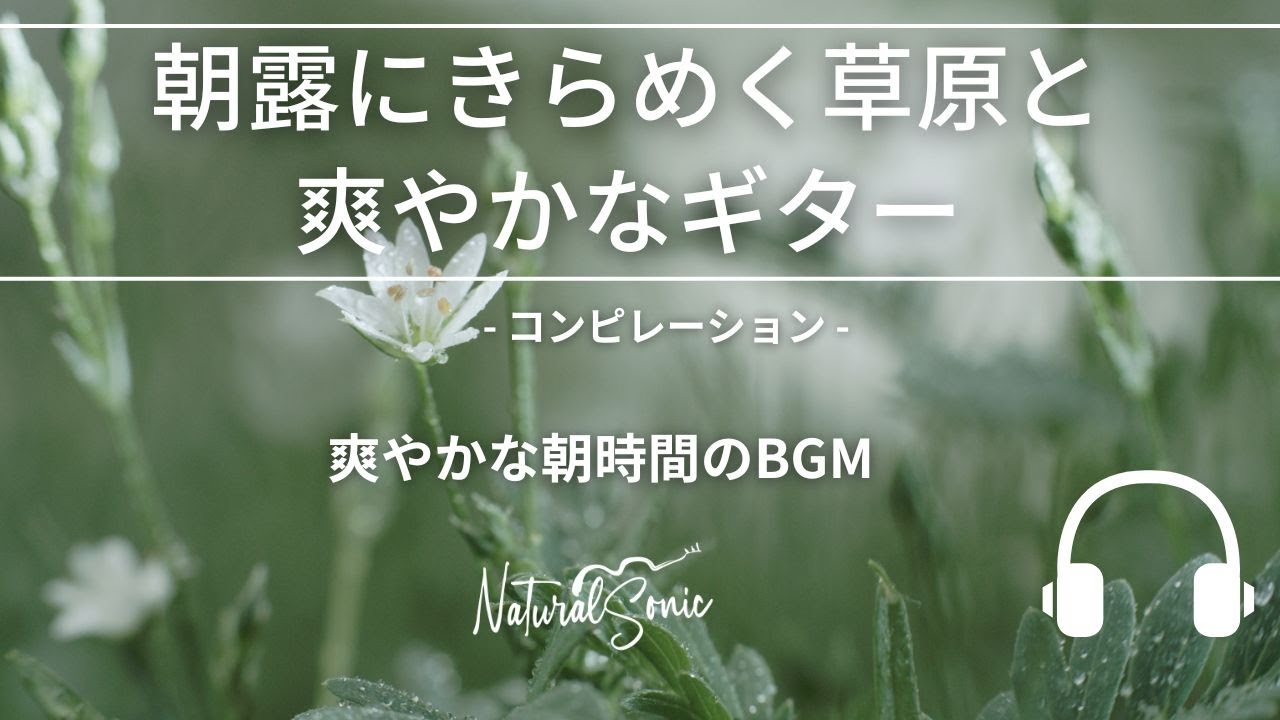 Natural Sonic「 朝露にきらめく草原と爽やかなギター」コンピレーション - 爽やかな朝時間のBGM -