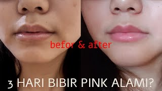 CARA CEPAT Mencerahkan Bibir Hitam dan Sehat Alami || LIP CARE ROUTINE screenshot 2