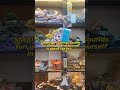 Evening Market Hunt for My Small Business 🛍️ | Finding Pipe Cleaner Craft Supplies in India ✨
