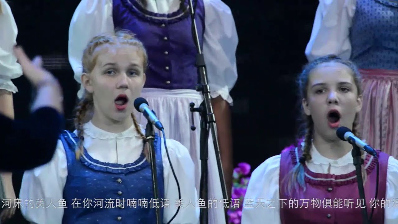 An der schönen blauen Donau - Gumpoldskirchner Spatzen, China 2017