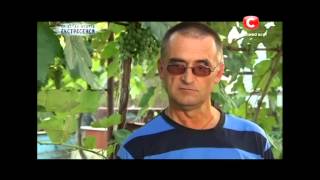 Суицид или убийство студента? - Следствие ведут экстрасенсы - Выпуск 187 - 03.02.15 Суицид или убийство студента? - Следствие ведут экстрасенсы - Выпуск 187 - 03.02.15