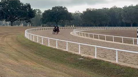 12/5/25 Twirling Candy/Flightline Yearlings