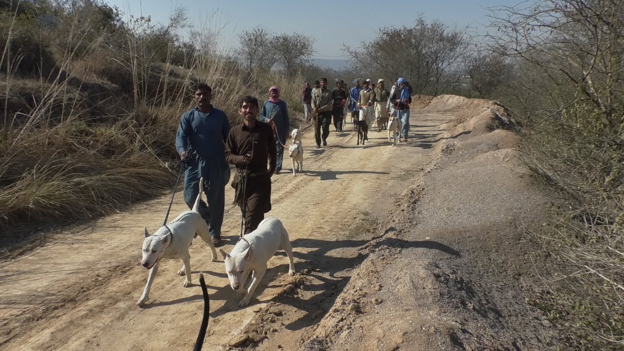 Shekar he shekar new video by Waseem 4k movies new video 2019 Part 1