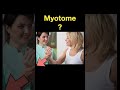 Testing Dermatomes, Myotomes and DTRs #shorts  (Part D)