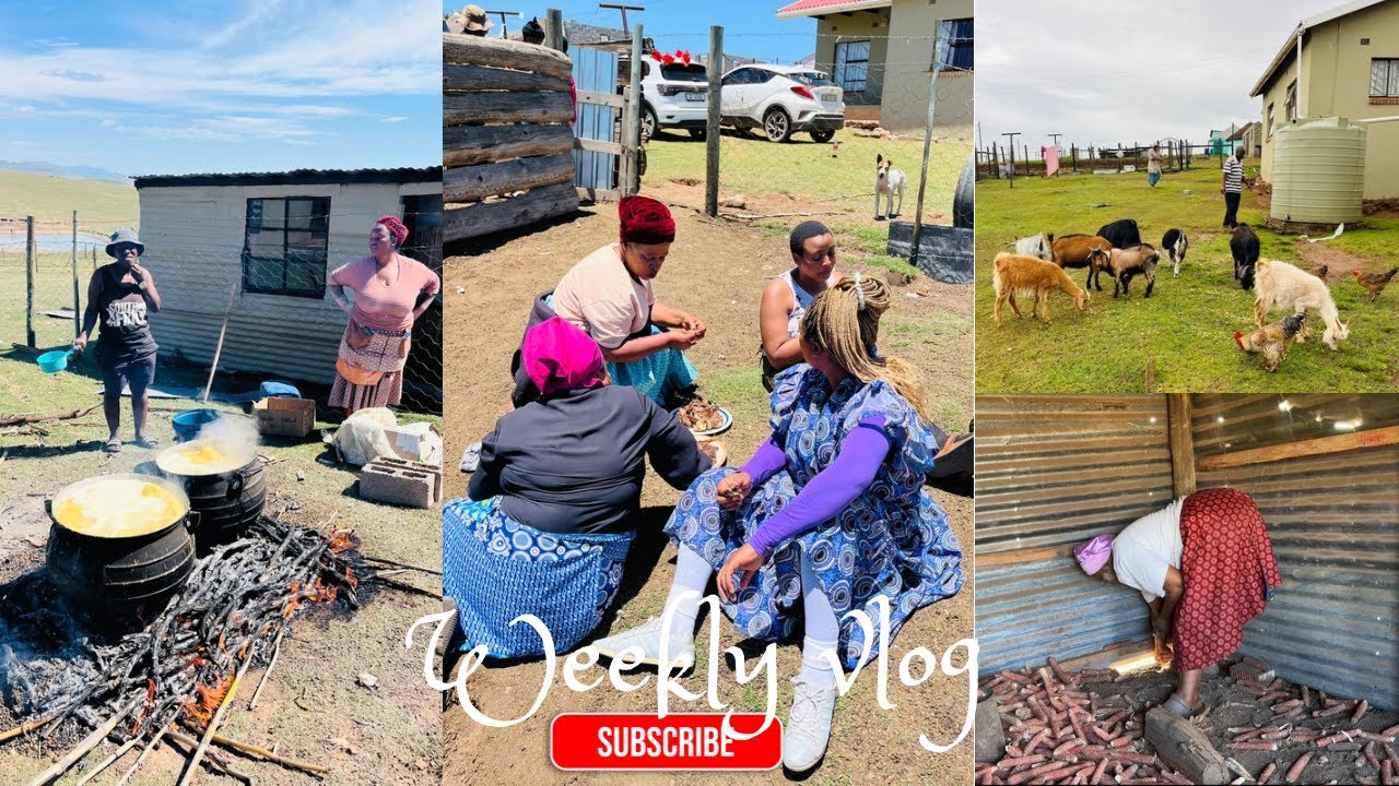 Eastern cape vlog: ukusila utywala besiXhosa, preps for umgidi continues… #southafricanyoutuber