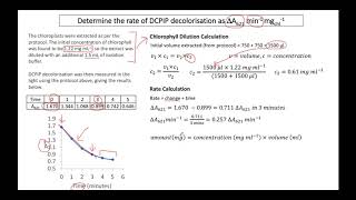 Photosynthetic Rate Calculation