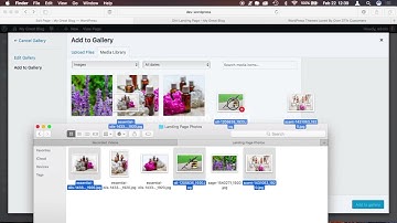 Designing Landing Pages with Divi Builder