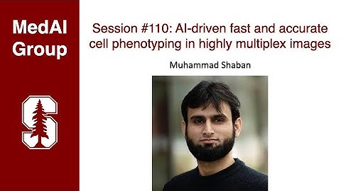 MedAI #110: AI-driven fast and accurate cell phenotyping in multiplex images | Muhammad Shaban