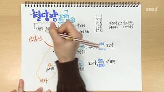 혈당량 조절 | 가볍게 공부하는 박소현의 생명과학 스케치북, 개정 생명과학, 노트필기, 문제풀이 | EBSi 고교강의