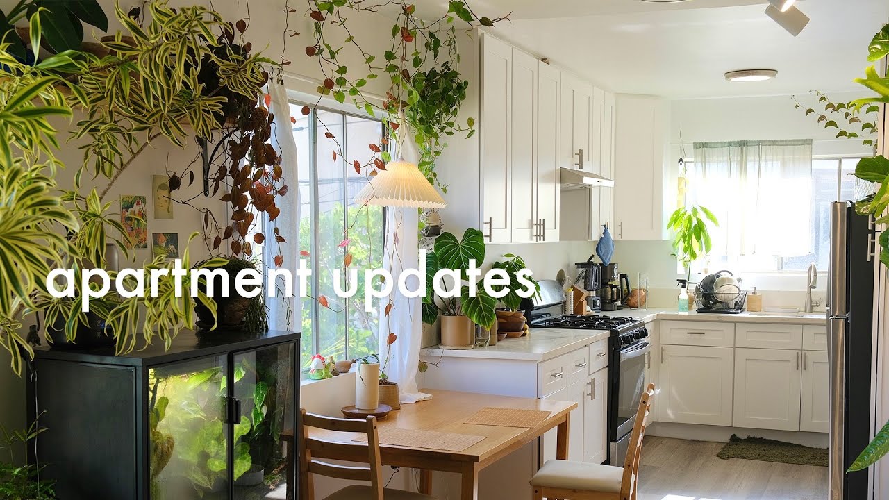 Apartment Updates | creating new plant displays, designing with plants