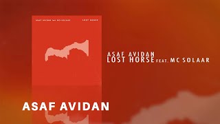 Asaf Avidan - Lost Horse feat. MC Solaar